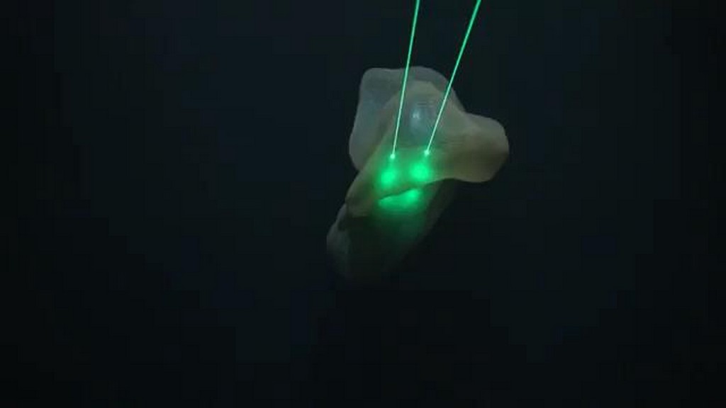 Meduza z głębin