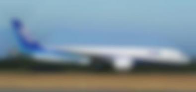 USA: Polka zakłóciła lot - samolot awaryjnie lądował