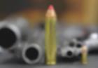 Broń dla dyrektorów szkół - odpowiedź na masakrę w Newtown