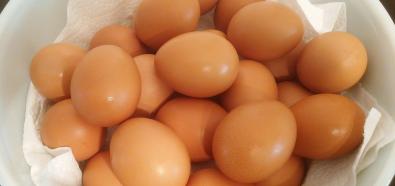 Polska branża jajeczna