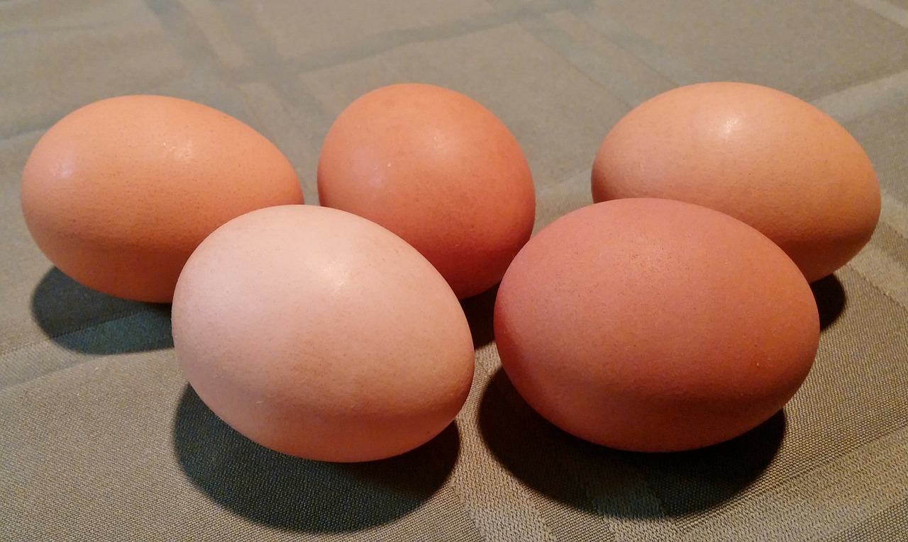 Polska branża jajeczna