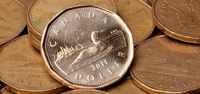 Dolar kanadyjski walutą Islandii?