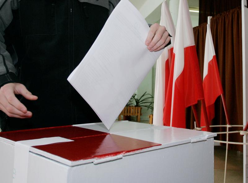 Wybory parlamentarne 2011 - pierwsze sondażowe wyniki