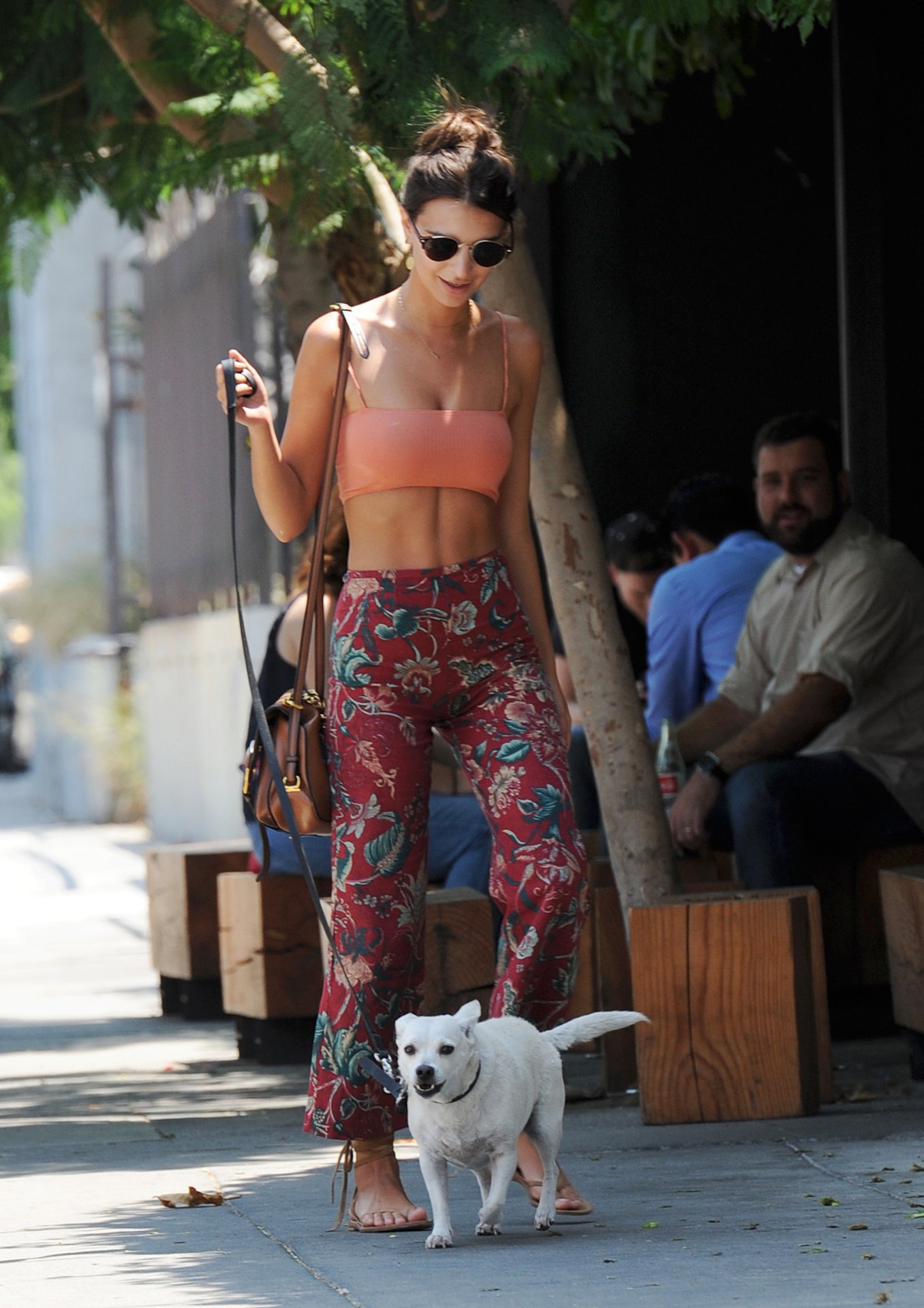 Emily Ratajkowski na spacerze z psem