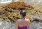 Kelly Brook we fioletowym stroju kąpielowym 