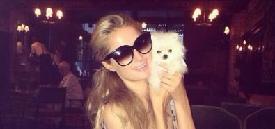Paris Hilton ma fajne ciało i...najmniejszego psa na świecie 