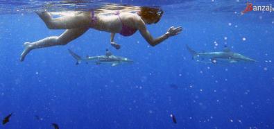 Audrina Patridge na wakacjach na Bora Bora