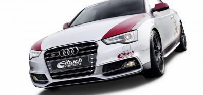 Audi S5 Coupe Eibach