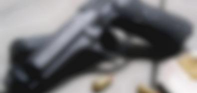 USA: Wzrosła sprzedaż broni po strzelaninie w Aurorze
