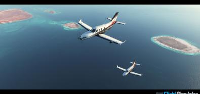 Microsoft Flight Simulator 