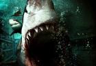 "Bait 3D" - trailer australijskiego thrillera z rekinami w roli głównej