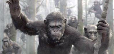 "Planeta Małp" - spektakularna wojna w kolejnej części filmu