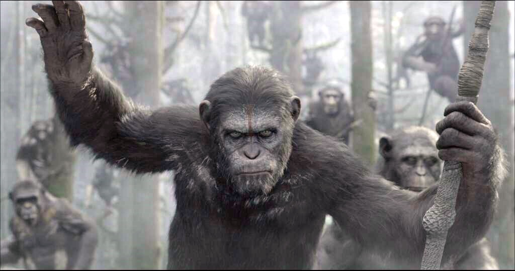 "Planeta Małp" - spektakularna wojna w kolejnej części filmu