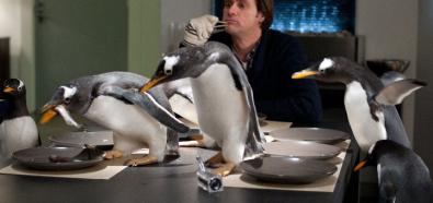"Pan Popper i jego pingwiny" ("Mr. Popper's Penguins")