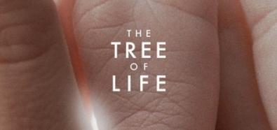 "The Tree of Life", "Drzewo życia"