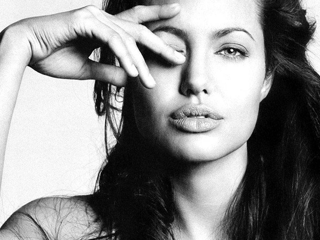 Angelina Jolie i Brad Pitt - szczegóły ich wspólnego filmu