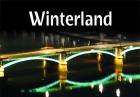 Winterland - Alan Glynn