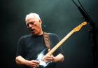 David Gilmour – legendarny muzyk wystąpi w Polsce