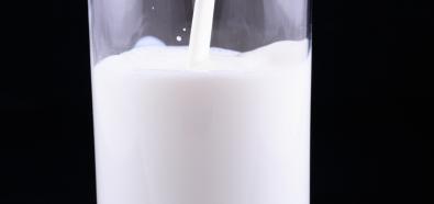 Dieta, odżywianie i zdrowie - mity i kłamstwa na temat mleka