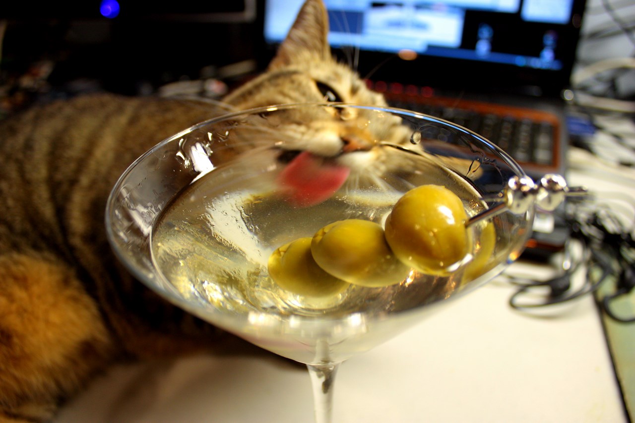 Zamawiaj Martini jak prawdziwy mężczyzna