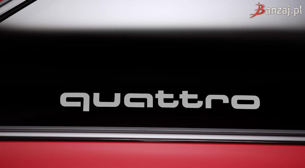 Audi A5 DTM Selection 