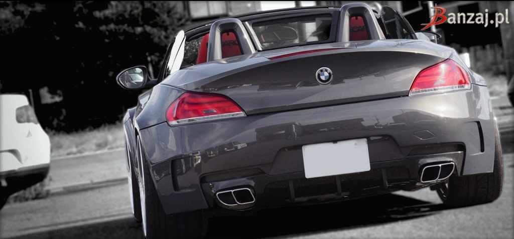 BMW Z4 Duke Dynamics
