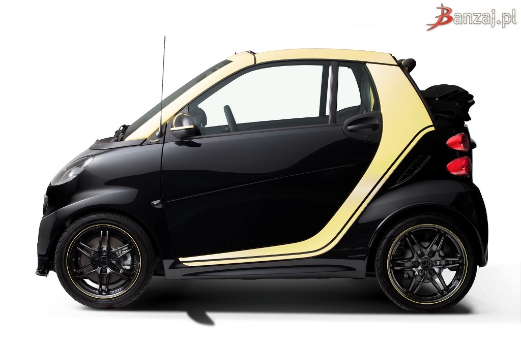 Smart Fortwo Moscot