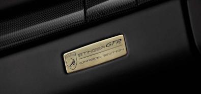 Porsche 991 GTR Carbon Edition