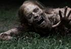 Apokalipsa zombie - czy żywe trupy mogą istnieć naprawdę?