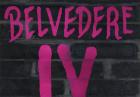 Belvedere IX