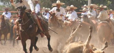 Los Charros - czyli jak powalić byka?