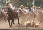 Los Charros - czyli jak powalić byka?