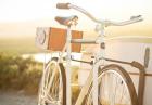 Almond X Linus - idealny rower dla surfera