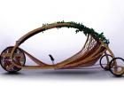 Bambusowy rower, czyli ekologia w każdym calu
