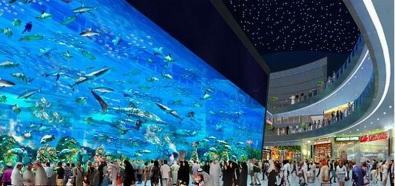 Najnowsze wielkie akwarium - The Dubai Aquarium 