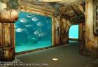 Największe akwarium w Afryce - Ushaka Marine World,RPA