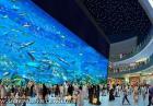 Najnowsze wielkie akwarium - The Dubai Aquarium