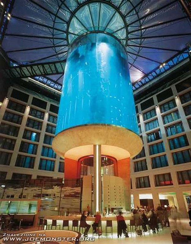 Największe cylindryczne akwarium - AquaDom, Radisson Hotel Aquarium, Berlin