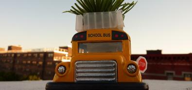 Ekologiczne autobusy