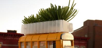 Ekologiczne autobusy