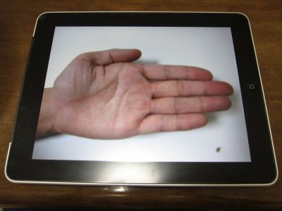 iDish, czyli nowe zastosowanie iPada
