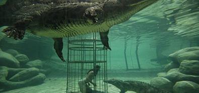 Klatka śmierci z krokodylem - sposobem na skok adrenaliny