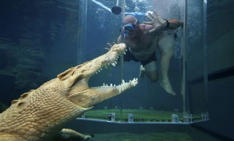 Klatka śmierci z krokodylem - sposobem na skok adrenaliny