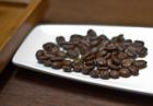 Kopi Luwak - najdroższa i najbardziej ekskluzywna kawa świata