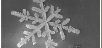 Płatki śniegu pod mikroskopem