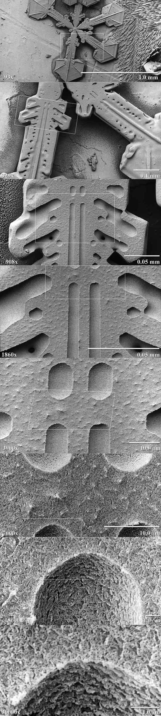 Płatki śniegu pod mikroskopem