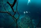 Podwodna rzeka w jaskini Cenote Angelita w Meksyku