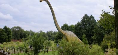 Parki Jurajskie w Polsce - czyli inwazja dinozaurów