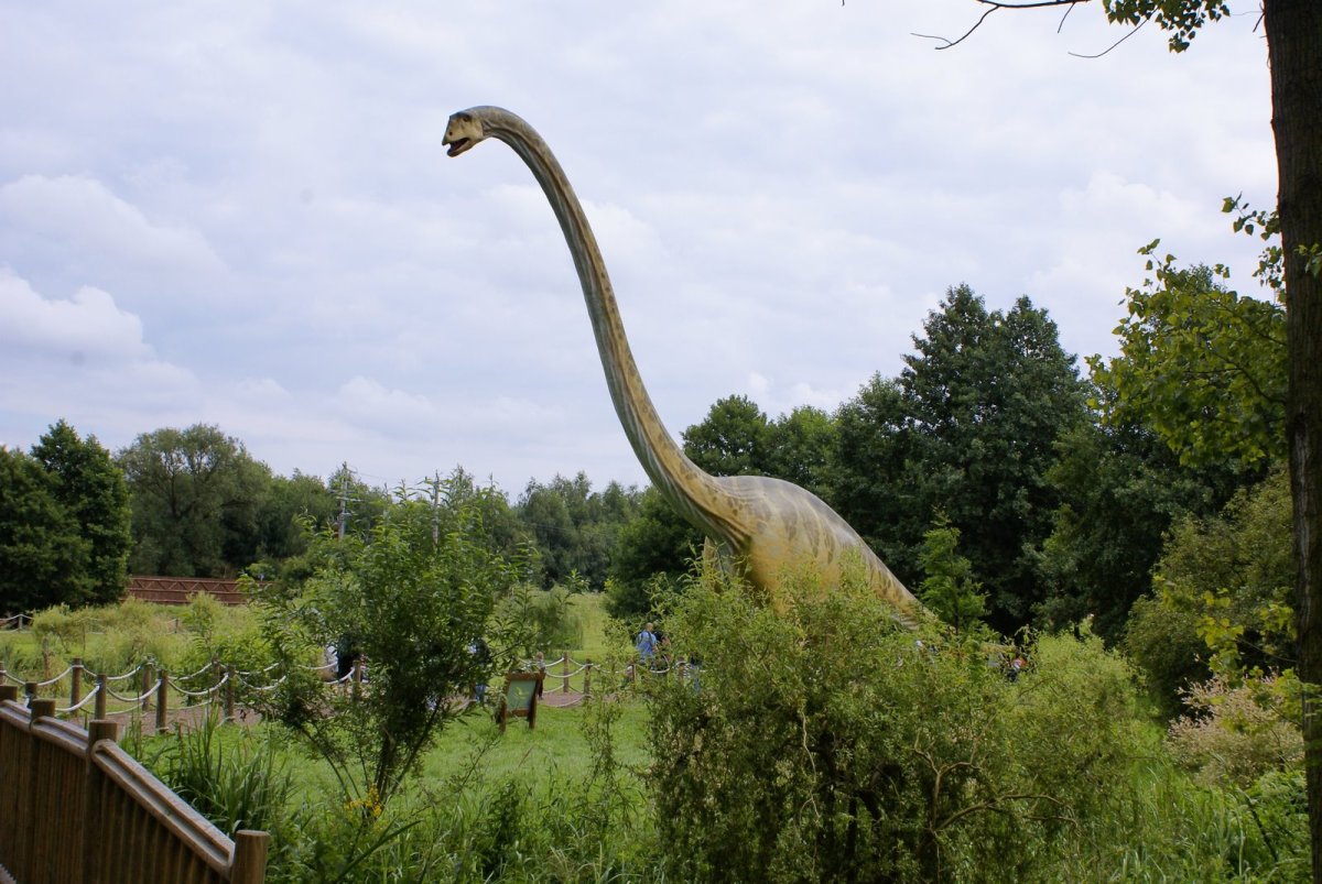 Parki Jurajskie w Polsce - czyli inwazja dinozaurów