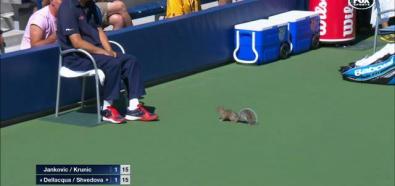 Wiewiórka zakłóciła mecz na US Open